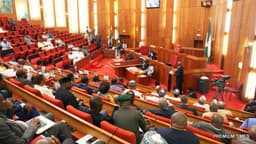 Senate confirms Nwuche, Akpabio,16 others for S’South Devt. Commission Board