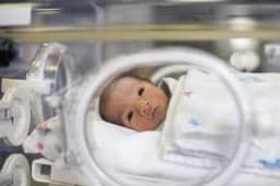One in every child in UK schools born through IVF
