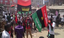 IPOB rejects proposed cattle ranching in Abuja, cites concerns over indigenous land rights