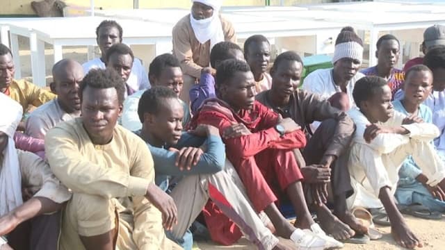 210 terrorists surrender to troops in Lake Chad region