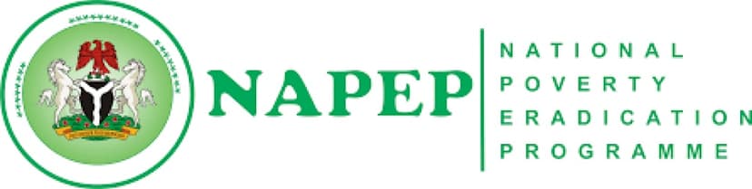 How to Apply for the National Poverty Eradication Program (NAPEP) (Free Skills Training, Internship Grants (N100,000 monthly stipend & Microcredit)