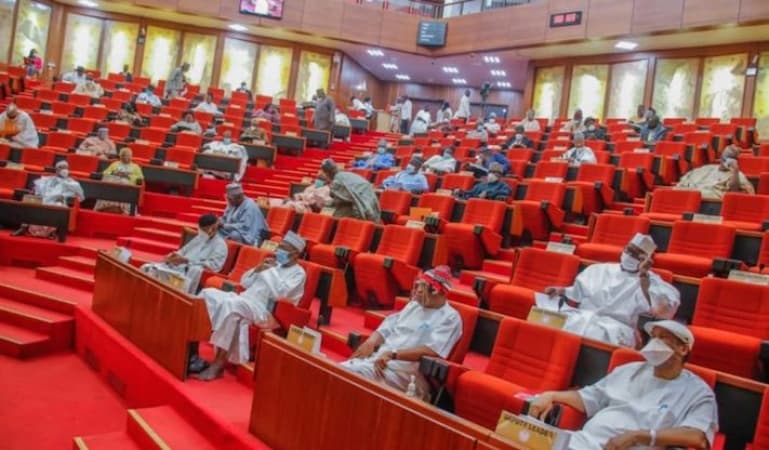 Previous Constitution amendments didn’t resolve governance questions — Senate