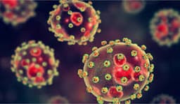 Lassa Fever, Yellow Fever, Diphtheria claim 28 lives in Edo