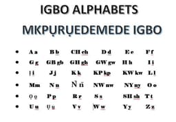 Make Igbo language compulsory in schools — Students urge government