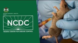 Nigeria records 145 Lassa Fever deaths, as fatality rate increases