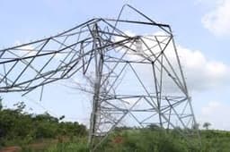 TCN overwhelmed by vandalism, communities must act fast — MD