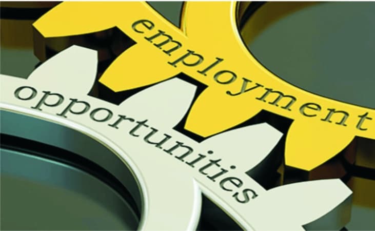 Group plans 15m jobs in Nigeria