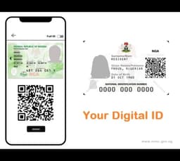NIN verification portal frustrates banks, telcos as downtime persists