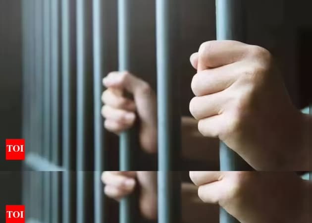 Man handed six months imprisonment for refusing to watch president on TV
