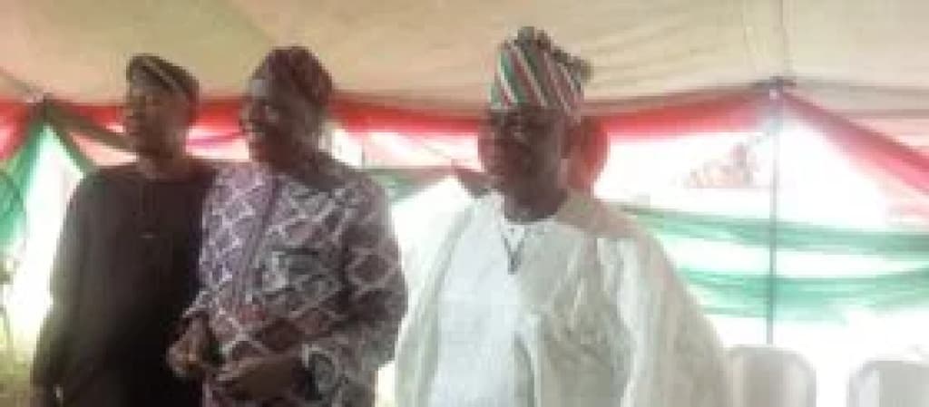 APC celebrates victory in Lagos council polls