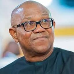 Peter Obi is our product, we want to get him back — PDP