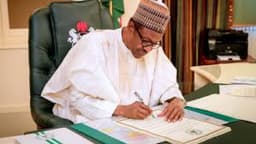 How Cabal Members Smuggled Memos To Buhari – Gambari