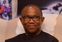 Peter Obi, a unifying figure with organic support — Ezeh