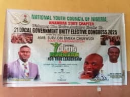 Anambra NYCN stakeholders frown at shoddy conduct of council elections