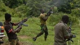 BREAKING: Scores feared dead as gunmen unleash terror on Imo communities