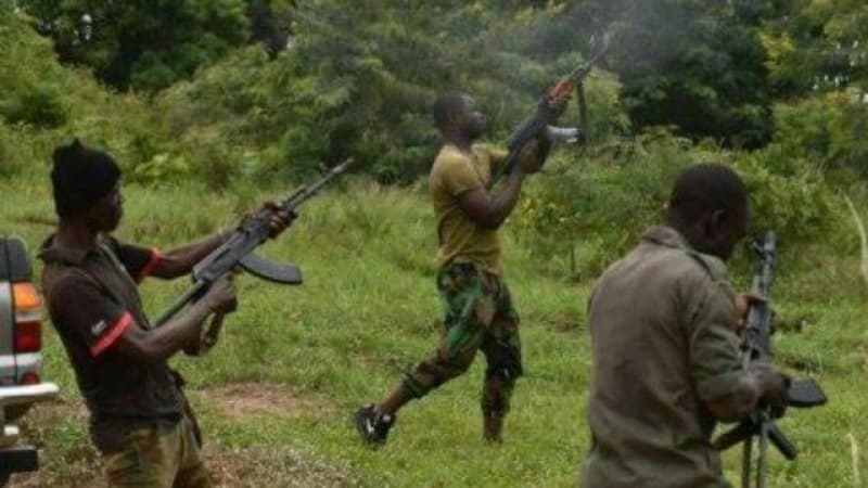 BREAKING: Scores feared dead as gunmen unleash terror on Imo communities
