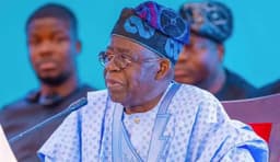Diaspora home remittances hit $20bn in 2024 — Tinubu