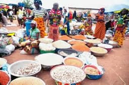 Food inflation persists in South-West, South-East as prices drop in North 