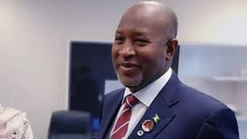 Katsina Emirate appoints ex-Aviation Minister, Sirika, Radda’s son, others as District Heads