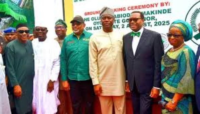 Shettima, AfDB president, Makinde break ground for Ijaiye Agribusiness Devt Hub
