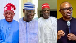 2027 presidency: ADC, APC, PDP jealously guard trump cards