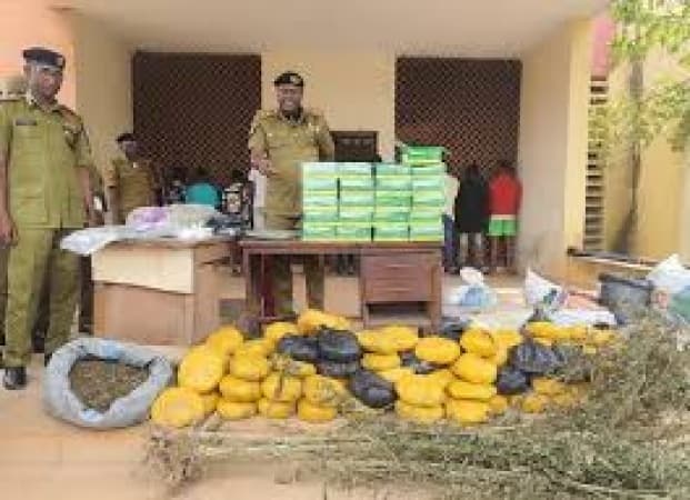 Edo NDLEA raids drug flashpoints, arrests 46, seizes 39,983kg of narcotics