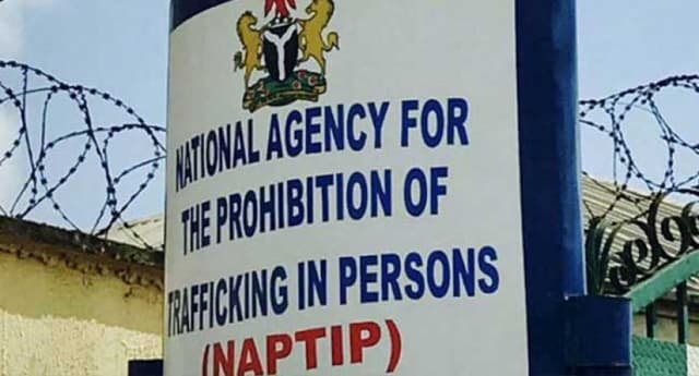 NAPTIP rescues 25 Saudi-Bound women from trafficking ring