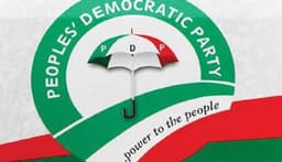 PDP unveils 110-member committee for national convention