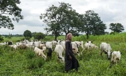 Killing of herder sparks reprisal attack in Taraba