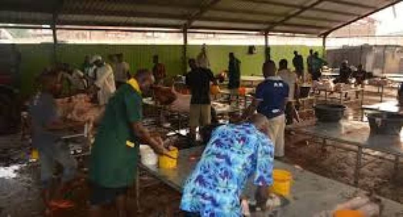 Secret slaughterhouse linked to cattle rustling uncovered in Yola 