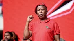 Malema pushes for single African Presidency, currency, borderless continent