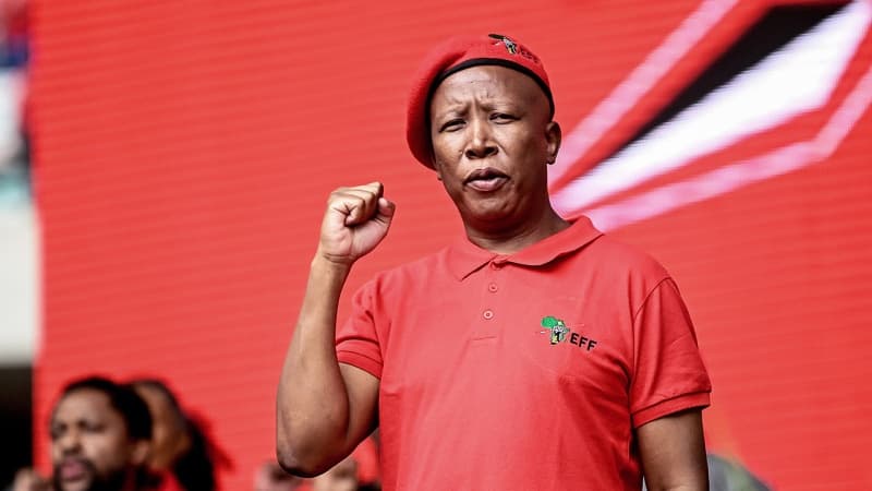 Malema pushes for single African Presidency, currency, borderless continent