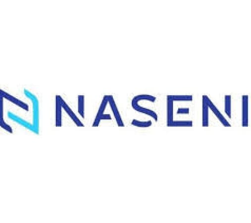 NASENI secures $2bn commitments, 40 market-ready products under Tinubu