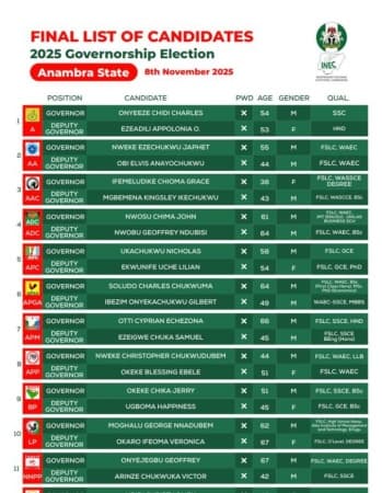 Anambra governorship poll: Stakeholders list seven dangerous councils