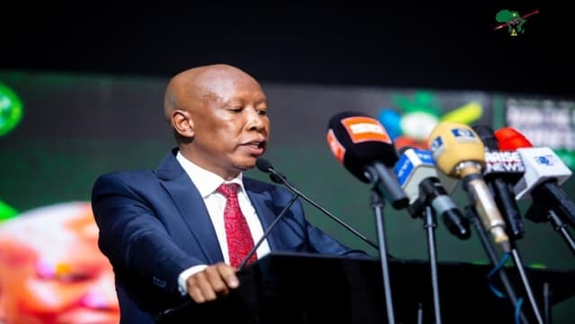 Malema hails Nigeria?s contributions to South Africa?s freedom, denounces xenophobia