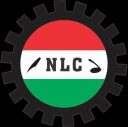 Increment: Harmonise workers’ salaries — NLC charges FG