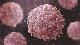 Diabetes fuels more aggressive breast cancers ? Study 