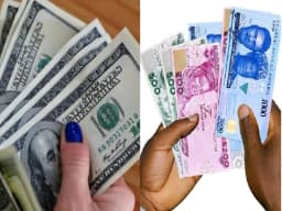 Naira set for temporary gain as US plans interest rate cuts