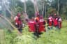 NDLEA destroys seven hectares of Cannabis in Kogi