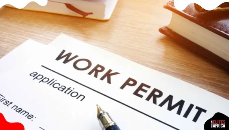 10 countries with labour shortage hiring Nigerians in 2025