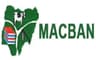 Benue MACBAN alleges killing of 70 cows