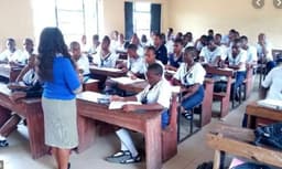 New secondary school curriculum to feature journalism, programming, AI modules