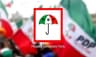 PDP supporters protest in Jos against 2027 presidential zoning