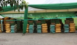 Wike flags off fertilizer distribution at 50 per cent subsidized rate to Abuja farmers