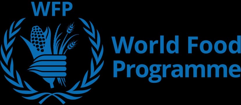 WFP welcomes donor contributions to save lives in Northeast Nigeria