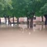 Flood forces closure of 40-yr-old Friday Mosque in Kankia