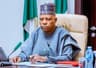 Group frees 59 inmates, helps 59 orphans to mark Shettima’s birthday