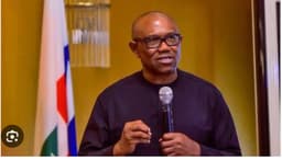 Obi to FG: Empower governors to tackle insecurity