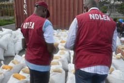 NDLEA smashes drug cartel, seizes N5.3bn Australia-bound cocaine
