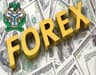 Nigeria’s FX market records $2.80bn inflow amid strong domestic support